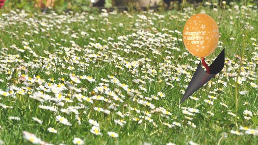 Eine Wiese mit Blumen mit einem GruÃŸ zum Geburtstag